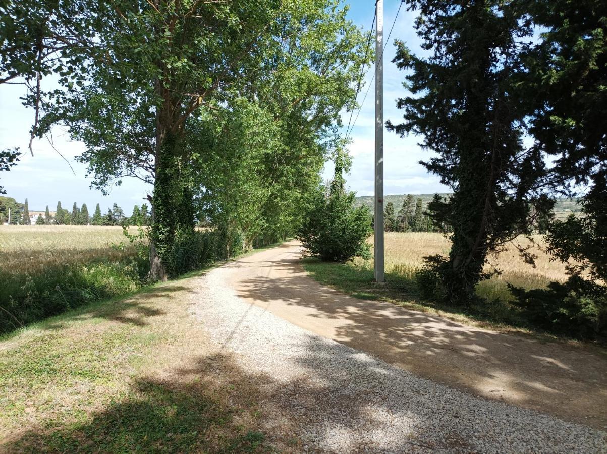 Domaine Le Piboul Villa Fontcouverte  Екстериор снимка